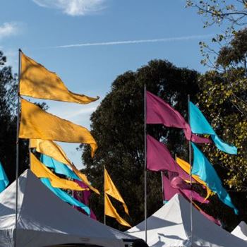 Banners, Flags & Signs